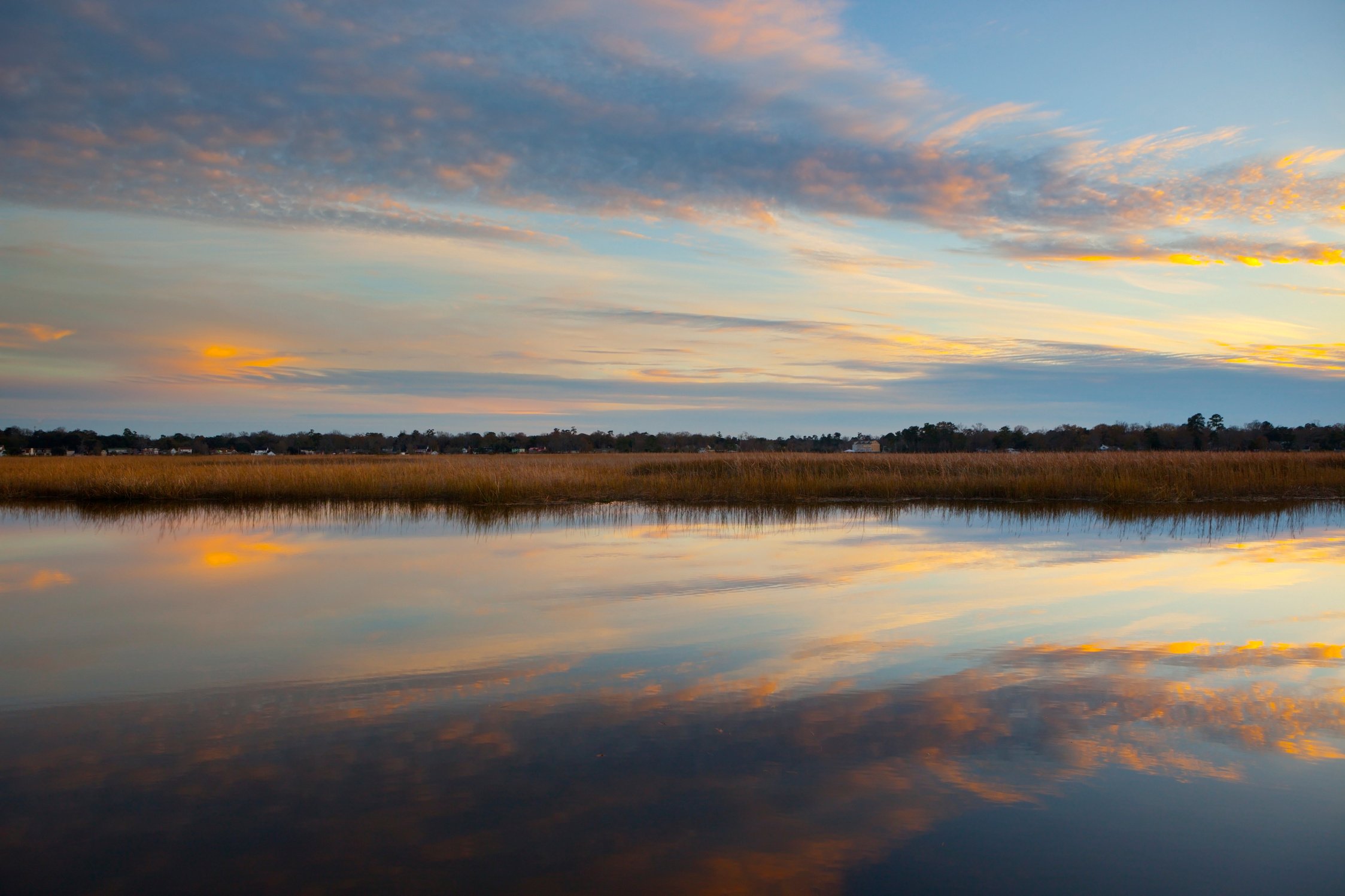 South Carolina Marsh.